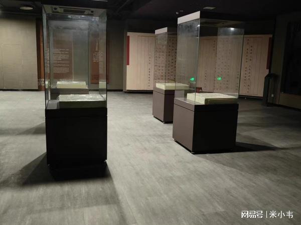 米乐m6官网宁夏博物馆展柜大揭秘：绝美文物背后的高科技保护者！(图4)