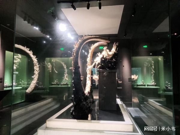 米乐m6官网宁夏博物馆展柜大揭秘：绝美文物背后的高科技保护者！(图5)